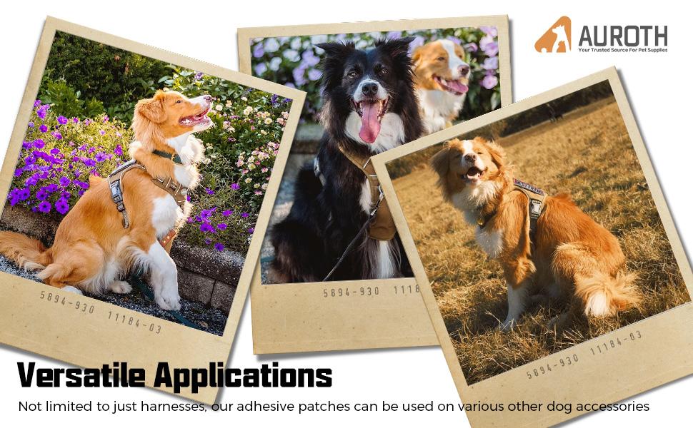 Auroth 10 Pieces Service Dog Patches, Tactical Morale Patches Bundle, Full Embroidery Loop and Hook Fasten Dog Harness Patches Set, American Flag Dog Patch Set Vest Harnesses Collars Leashes