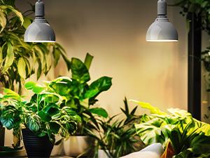 Barrina LED Hanging Grow Light Bulb, 50W (2 x 25W) Full Spectrum, with 16.4FT Power Cord, 2-Head