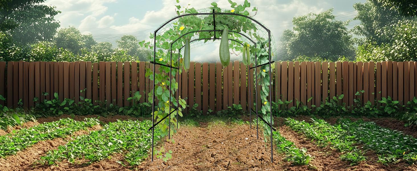 Lilypelle Tall Garden Arch Trellis, 87in Tall Metal Plant Support Trellis Archway for Climbing Vine Vegetable/Fruit/Flower Outdoor Yard Lawn Garden Lilypelle Tall Garden Arch Trellis, 87in Tall Metal Plant Support Trellis Archway for Climbing Vine Vegetable/Fruit/Flower Outdoor Yard Lawn Garden