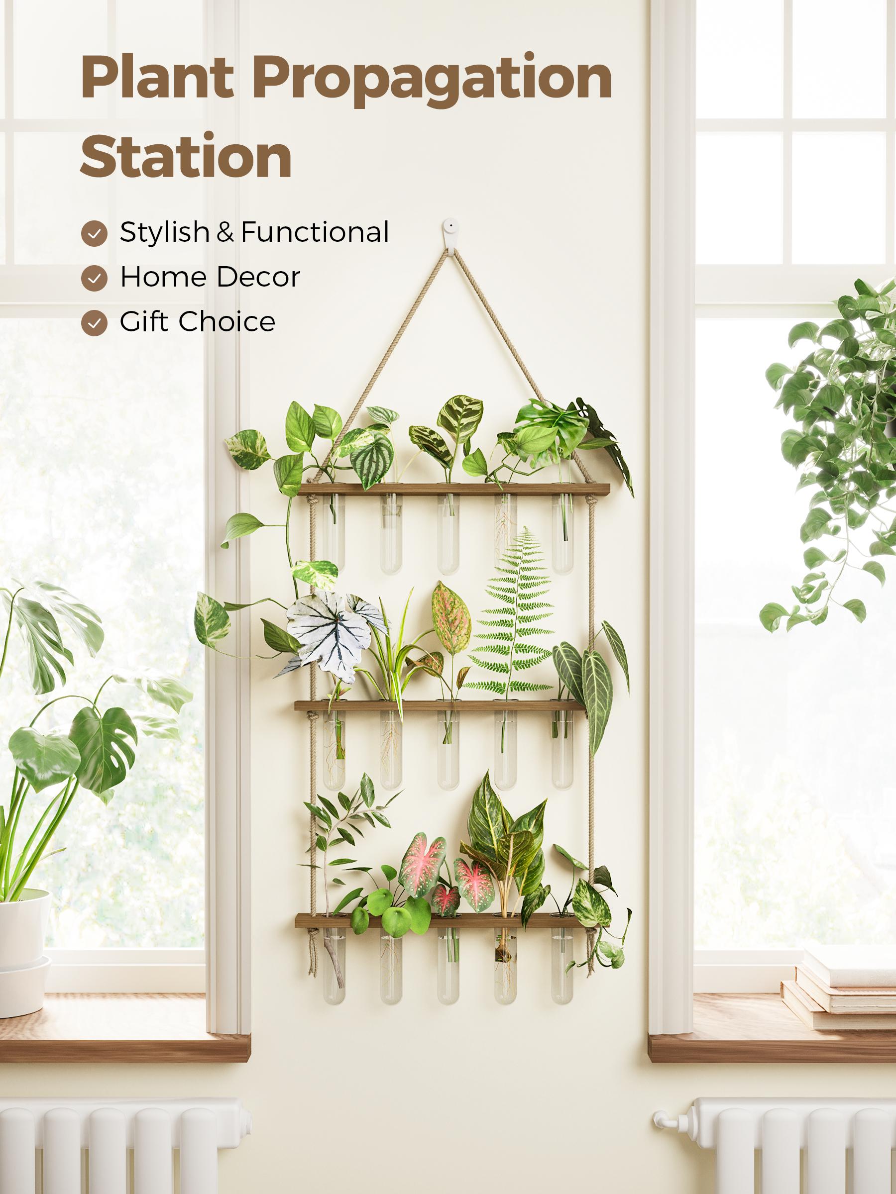 BamWorld Hanging Plant wall planter Propagation Station Glass Terrarium with 3 Tiered Wooden Stand 15 Glass Tubes for Hydroponic Plant Wall Hanging Planter Gift for Plant Lover Home Decor Bedroom Deco