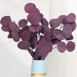 Preserved Dried Eucalyptus Stems, Purple Eucalyptus Leaves, 4-10 Pcs Silver Dollar Leaves for Vase Filler, 14-17'' Dried Plants for Wreath Wedding Home Farmhouse Party Decor