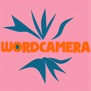 wordcamera