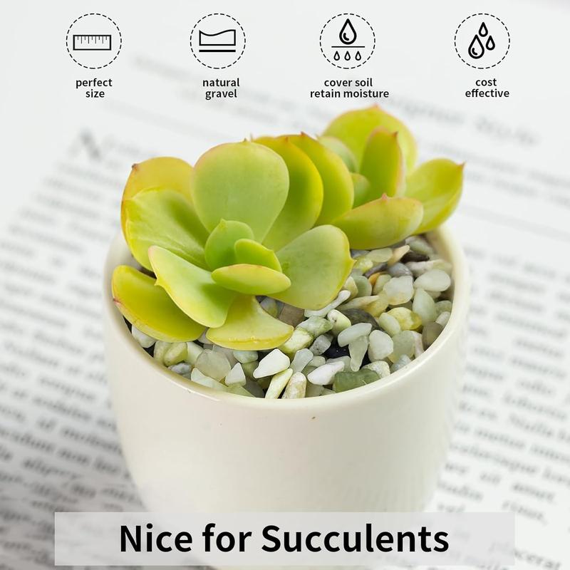 2 lbs Pea Gravel - 3/8 Inch Small Pebbles Rocks for Indoor Plants, Succulents, Cactus, Fish Tank, Terrarium, Landscaping and Decorative Stones(32 oz, 6-9 mm) 2 lbs Pea Gravel - 3/8 Inch Small Pebbles Rocks for Indoor Plants, Succulents, Cactus, Fish Tank, Terrarium, Landscaping and Decorative Stones(32 oz, 6-9 mm)