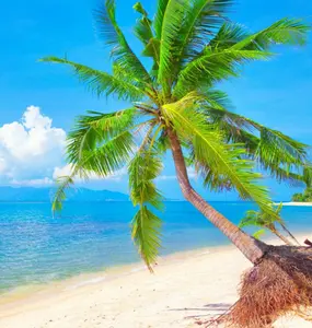 background preload poster image 