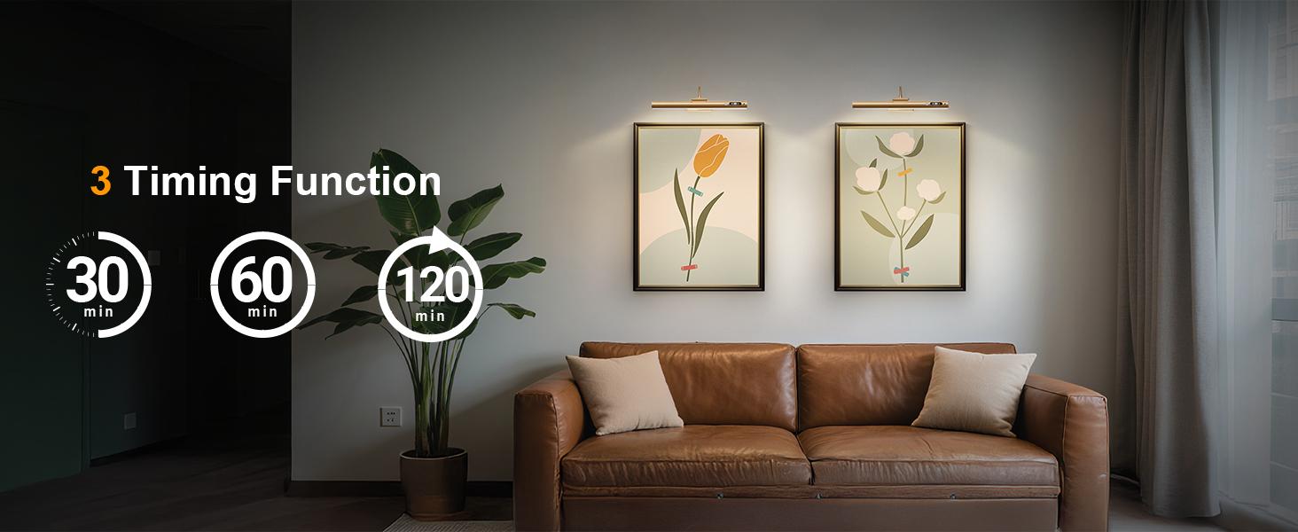 Modern LED Wall Light with Controller and Timer, Adjustable Brightness, Ideal for Artwork and Dartboards