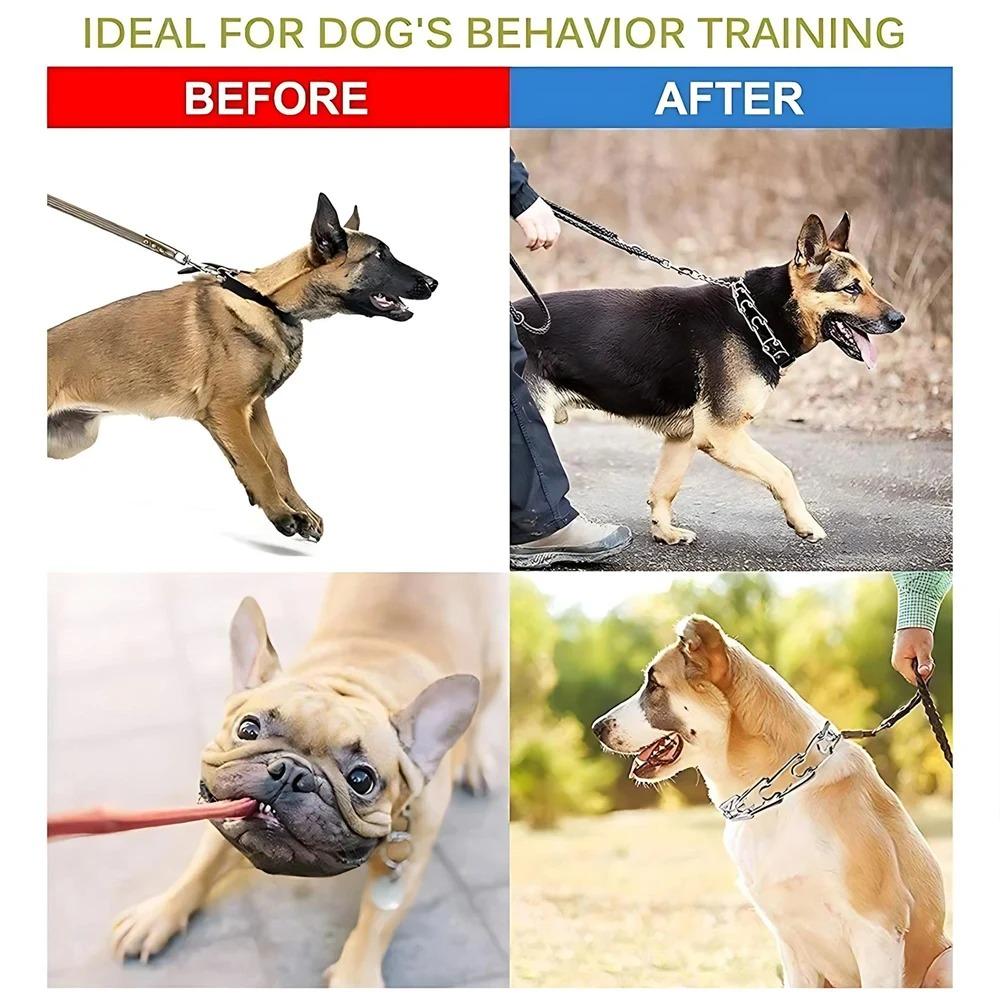 Adjustable Training Collar for Medium & Small Dogs: Stainless Steel Padded Tips, Rubber Anti-Slip Neck & Leash, Quick-Release Safety Buckle, Anti-Choke Design, Comfortable & Secure Pet Training Accessory.