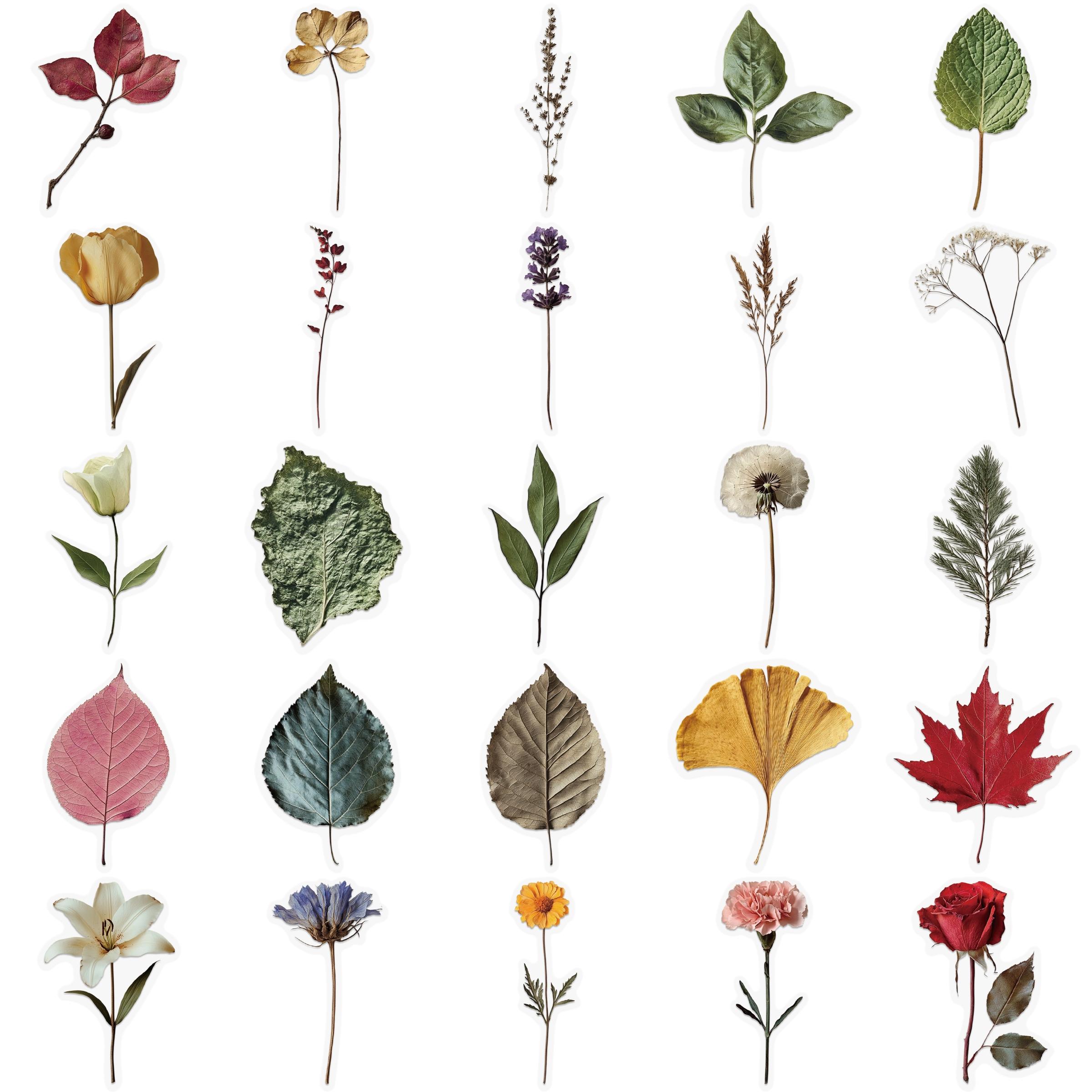 50-Piece Plant Stickers for Scrapbooking, Journaling & Crafting – Realistic Botanical Leaves, Ferns, and Tropical Plants, Self-Adhesive Decorative Stickers