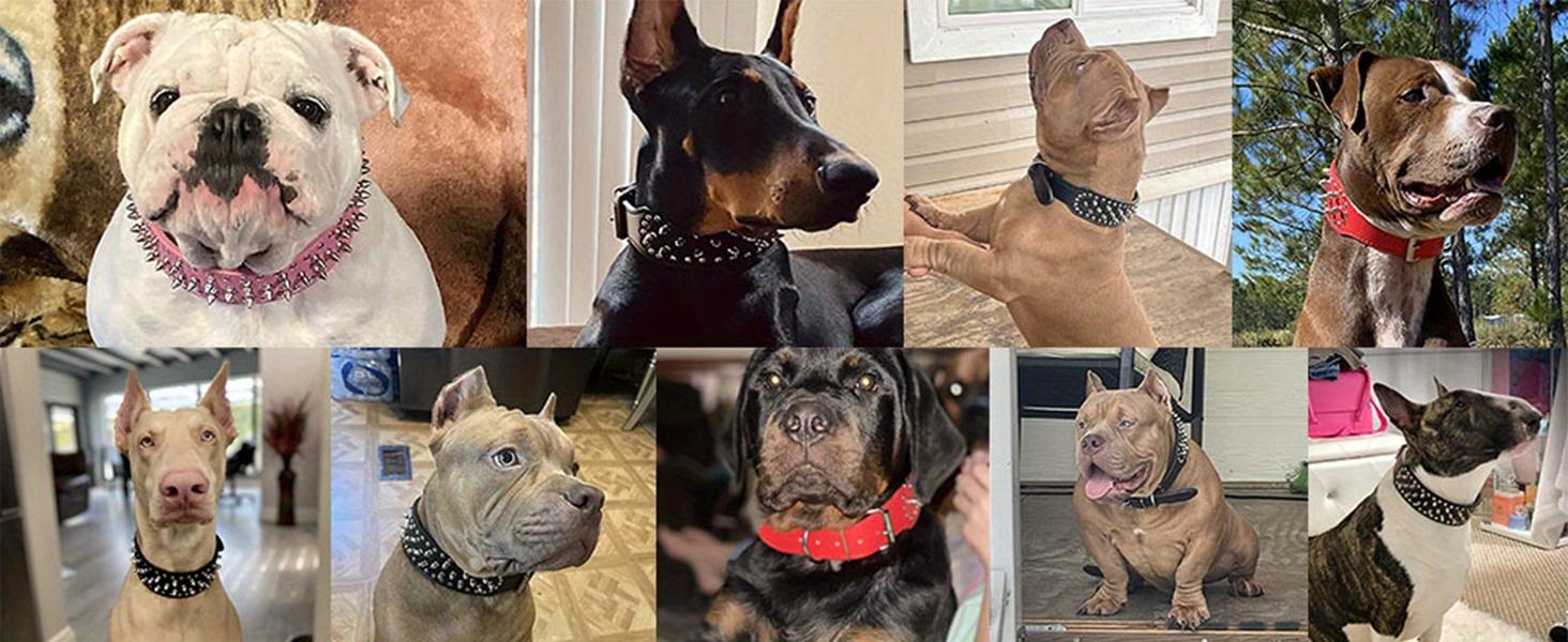 Heavy-Duty Spiked Dog Collar and Leash Set, Punk Style Golden Faux Leather with Metal Studs for Large Dogs, Pitbulls & Mastiffs, Adjustable Anti-Bite Protection, Collars, Adults, All Seasons, M, Other, Spike Collars, Leash Combo