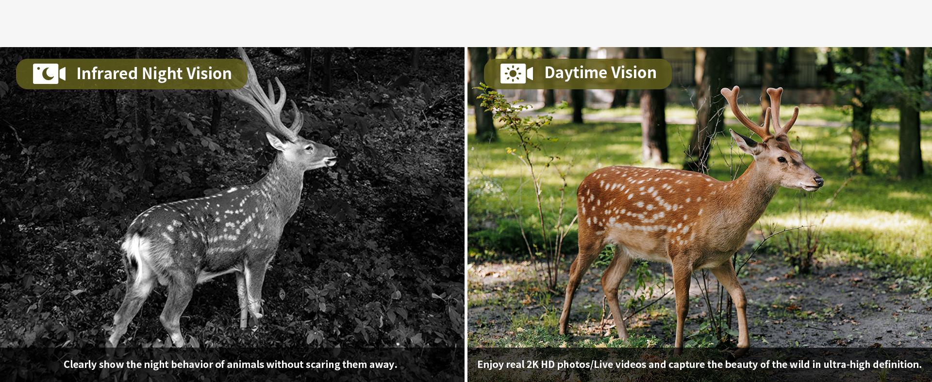 Dual Lens Linkage 4G LTE Cellular Trail Cameras DC24S-Solar Powered Surveillance, 360° Pan Tilt,2K Live View, No WiFi, Cellular Data Replenishment Required