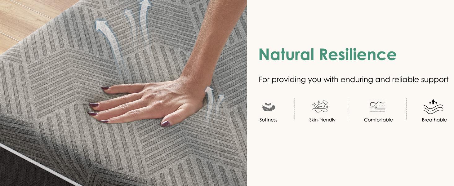 DlandHome10"12"14" Twin, Full, Queen, King Multi - layer structural design，Bamboo charcoal & silicone memory foam，Ergonomic design，Foam mattress，Easy to install，CertiPUR - US certified