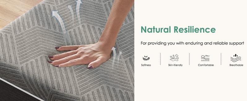 DlandHome10"12"14" Twin, Full, Queen, King Multi - layer structural design，Bamboo charcoal & silicone memory foam，Ergonomic design，Foam mattress，Easy to install，CertiPUR - US certified