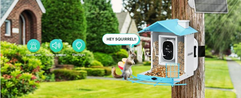 Osoeri Bird Feeder with Camera, Smart Bird Feeder Camera with AI Identify, Metal Bird Feeder with Suet Cage & Fruit Fork, Auto Capture Bird Videos & Motion Detection, Ideal Gift for Bird Lovers