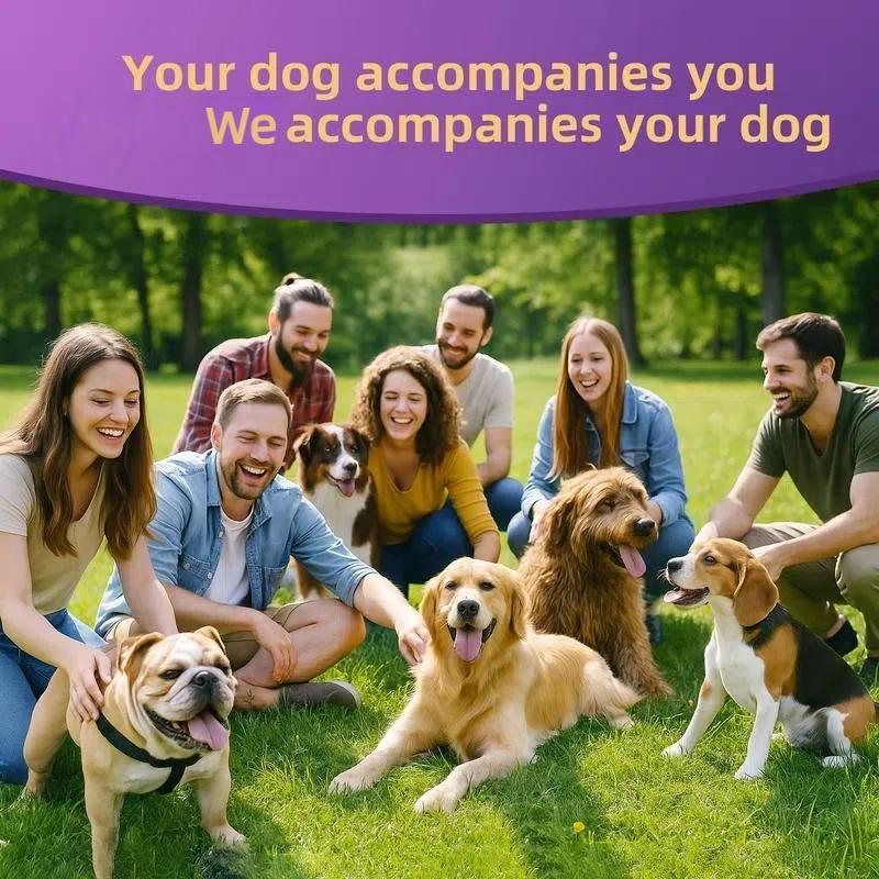 8-in-1 Multivitamin Soft Chews for Dogs – Probiotics, Gut & Immune Support Probiotics for All Breeds and Ages Dogs, Support Gut Digestive Health, Anti Diarrhea, Constipation Relief, No More Allergies, Dog Supplements - Pork Flavor - 90 Soft Chews