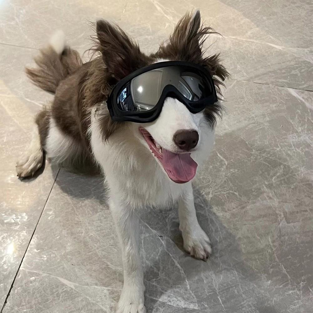Dog Goggles, Stylish Pet Sunglasses, Large Dog Eyewear, Windproof, Unique Pet Accessory, Perfect for Photos, Cute Outdoor Gear, Dual Straps