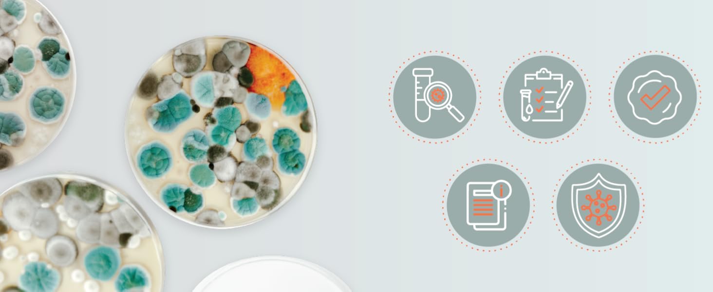 Mold Test Kit – Test 10 Different Areas, Swab Sample and Air Sample, Easy-to-Use Guide,-Testing