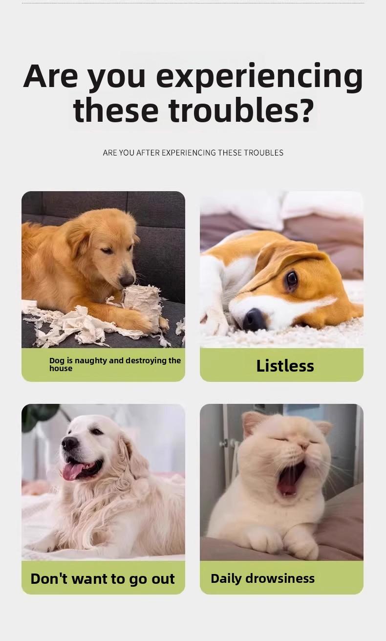 Dog toy - Self-amusement boredom relief elastic ball - Magic flying disc - Deformable ball - Footed ball - Educational toy - Outdoor sports ball