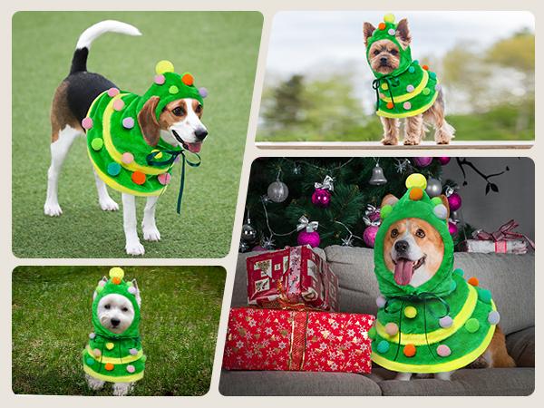 Kuoser Christmas Dog Outfit Set with Tree Hat & Dress for Small Medium Dogs Festive Winter Costume with Pom-Poms and Adjustable Drawstring dog clothes Puppy