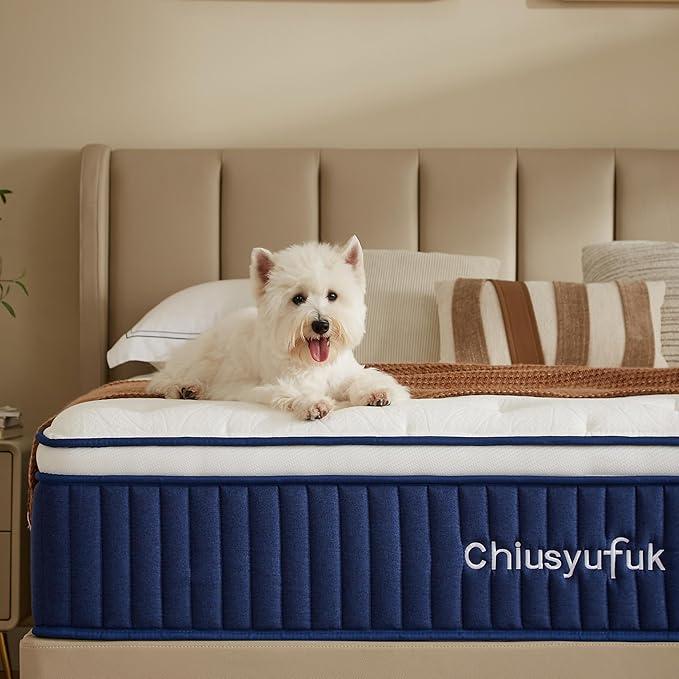 10 Inch Hybrid Mattress in a Box – Memory Foam & Springs, Medium Firm, Cooling Gel, Lumbar Support for Back Pain Relief & Guest Rooms