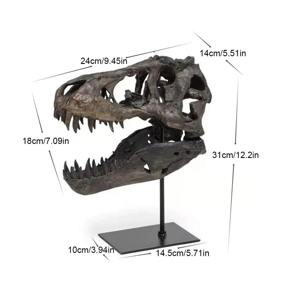 Dinosaur Skull Statue,Dinosaur Sculptures Bracket Tyrannosaurus Skull Replica Decoration Skull Bones Resin Replica with Bracket for Home Office Decor Shelf Display