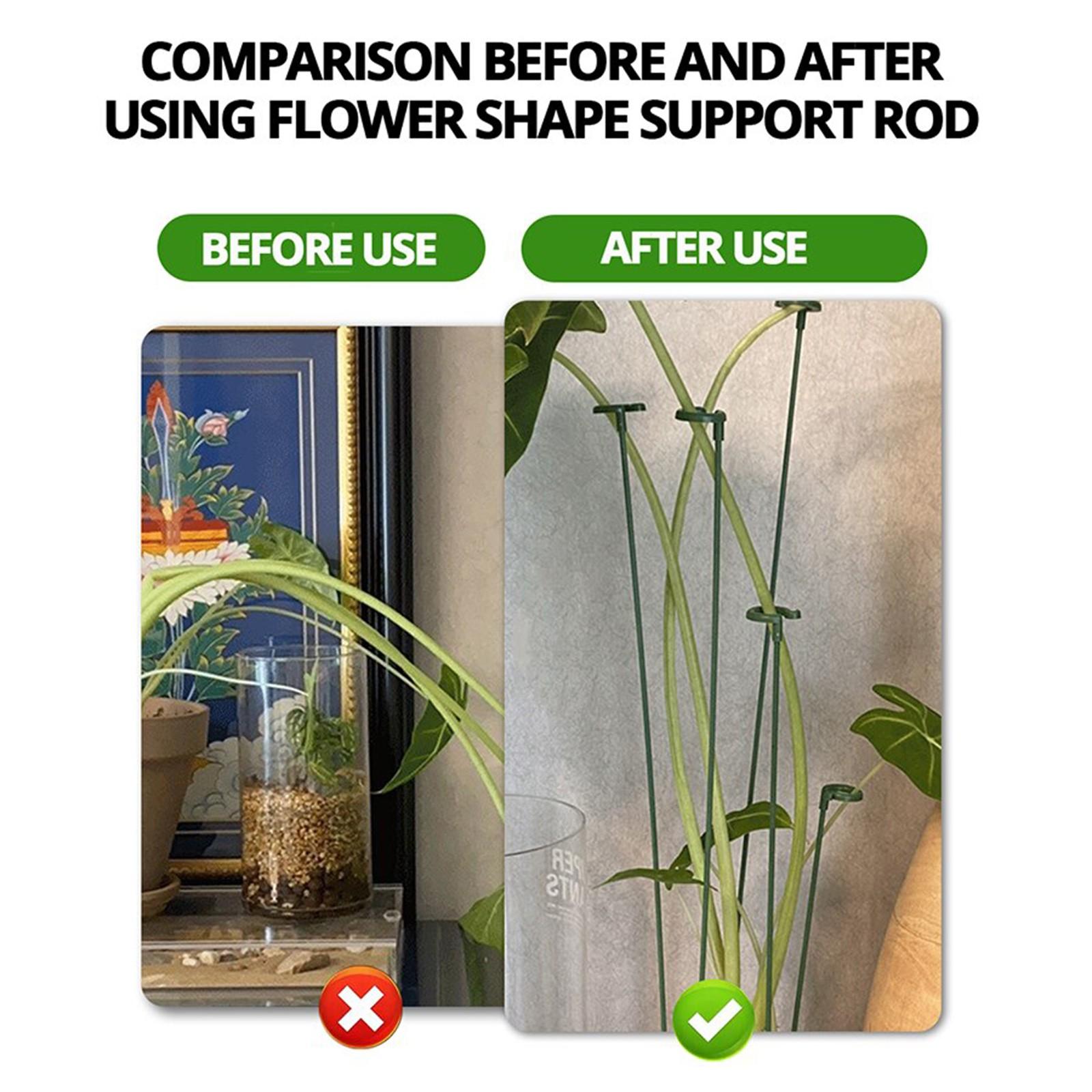 Garden Bonsai Orchid Stand, Butterfly Orchid Support Pole Plant Pot Flower Protector Rack Fixed 5pcs, Garden Gardening Supplies