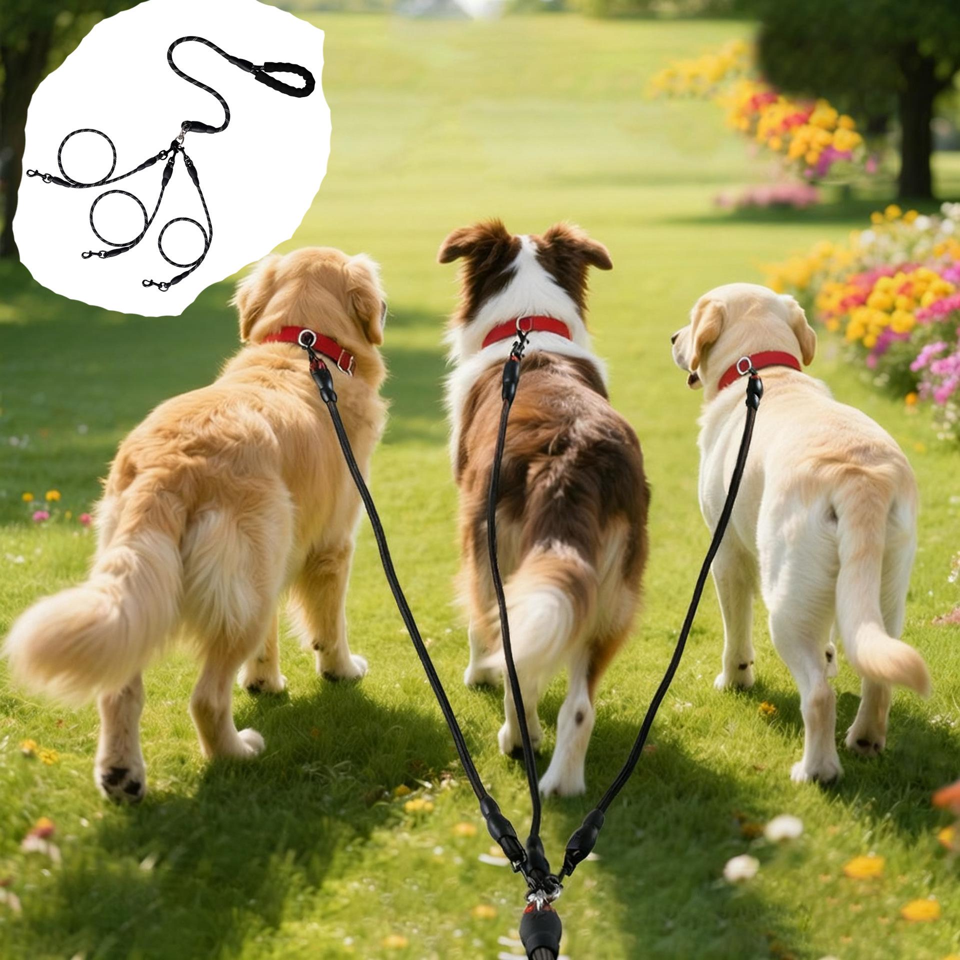 Outdoor Dog Leash, One Drag Three, Reflective Safety, Comfortable Handle, Durable Pet Walking Lead, Ideal for Daily Use & Training