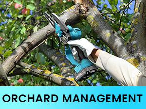 SeeSii 2-IN-1 Cordless Pole Saw & Mini Chainsaws, 6" Brushless Chain Saw with 2x 2.0Ah Battery, 16-Foot MAX Reach Brach Tree Saw with Extension Pole for Wood Cutting Garden CH600B  #TikTokShopBlackFriday