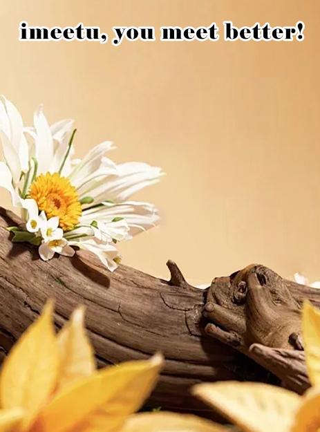 Genuine Leather Mini Compact Purse, RFID Credit Card Holder, Businese Card Case, RFID Blocking Chain Wallet for Women