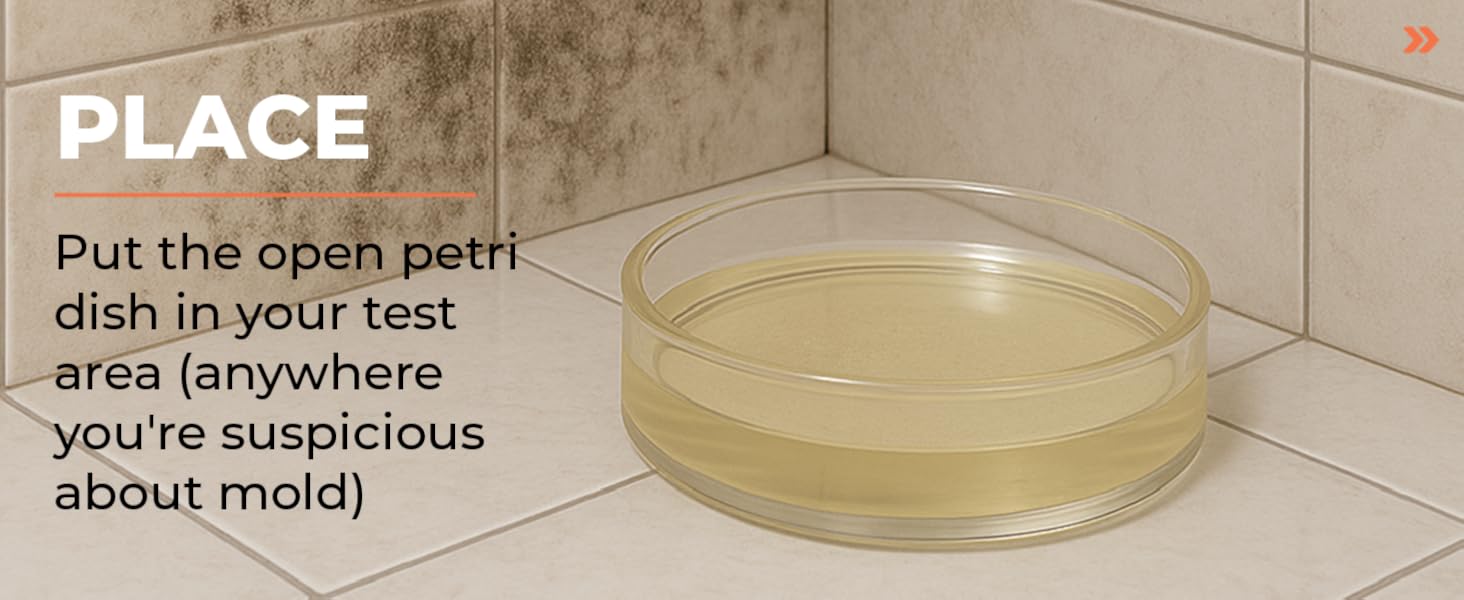 Mold Test Kit – Test 10 Different Areas, Swab Sample and Air Sample, Easy-to-Use Guide,-Testing