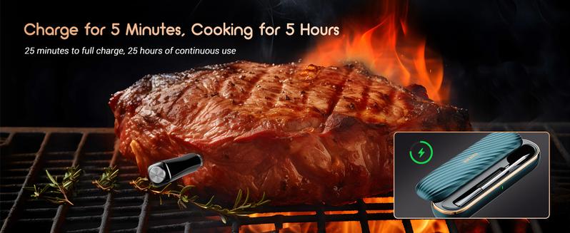 INBKIRD Meat Temperature Gauge, 1 Bluetooth Barbecue Temperature Gauge, Supports Temperature Alarm, Suitable for Barbecue, Home, Kitchen Tools TikTokShopBlackFriday