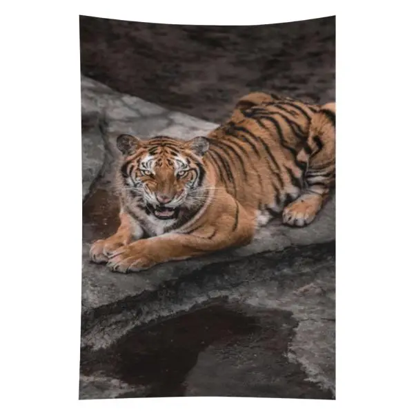 Y2K Aesthetic Tiger Tapestry Vintage Goth Grunge Room Decor Wall Hanging Edgy Dark Aesthetic Banner for Cool Bedroom Men College Dorm