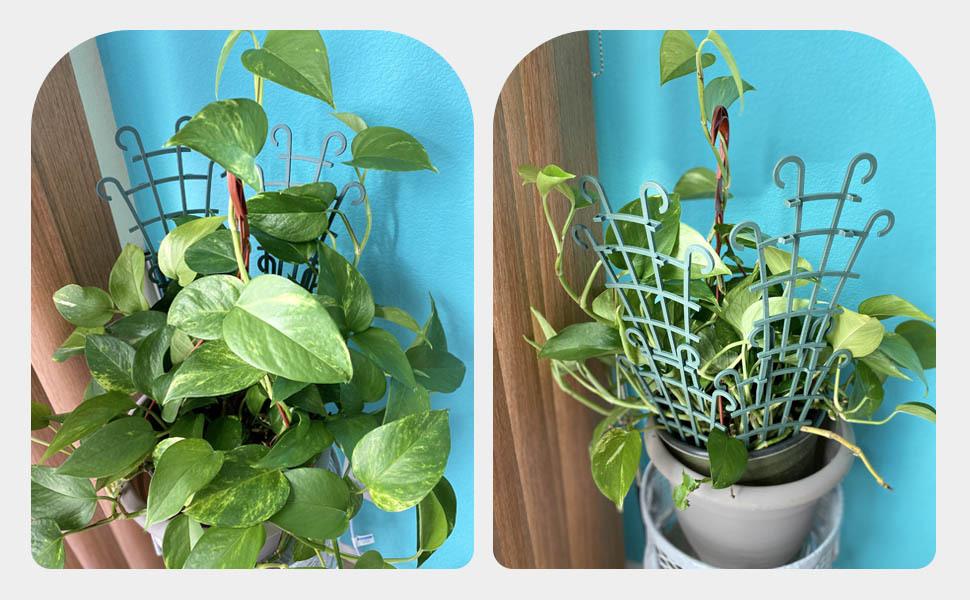 Adjustable Plant Climbing Frame - Stackable, Suitable for Indoor/Outdoor Use, Durable Plastic, Plant Support Structure, Space Saving, Suitable for Potted Plants and Artificial Flowers,Plant support bracket