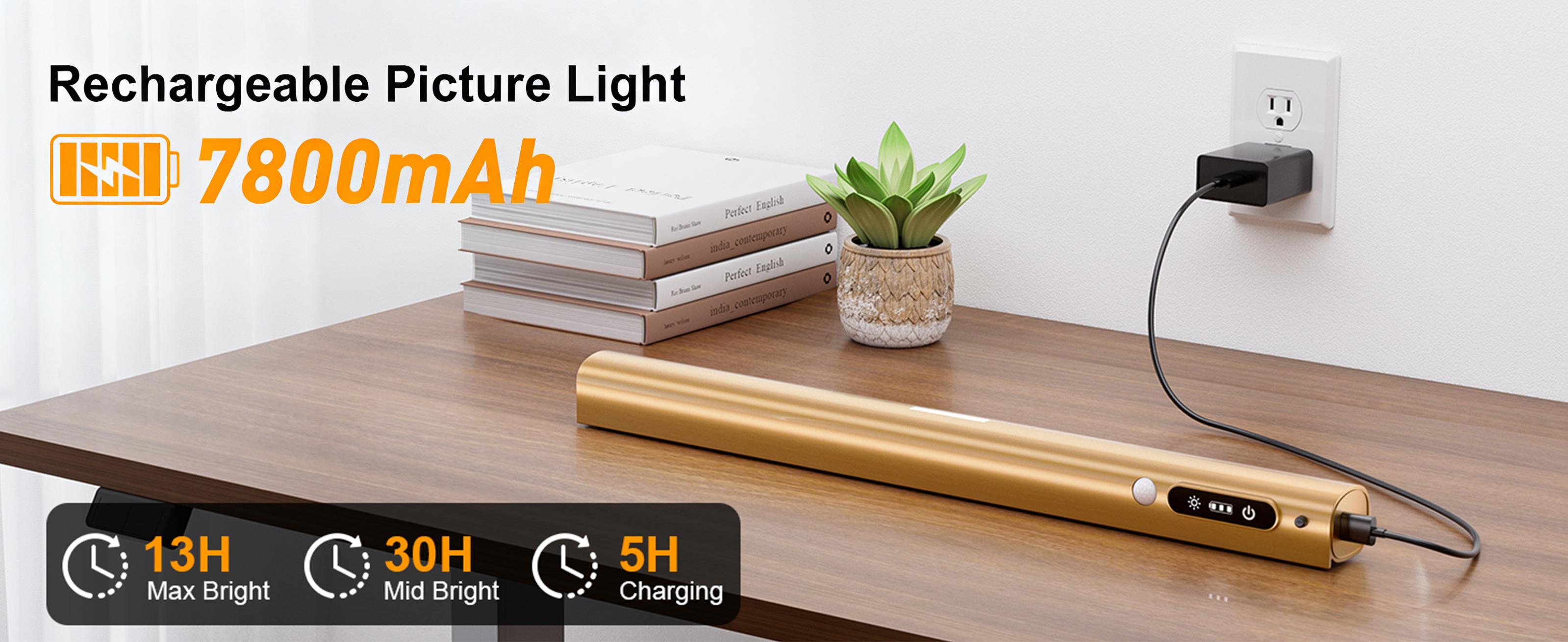 Modern LED Wall Light with Controller and Timer, Adjustable Brightness, Ideal for Artwork and Dartboards