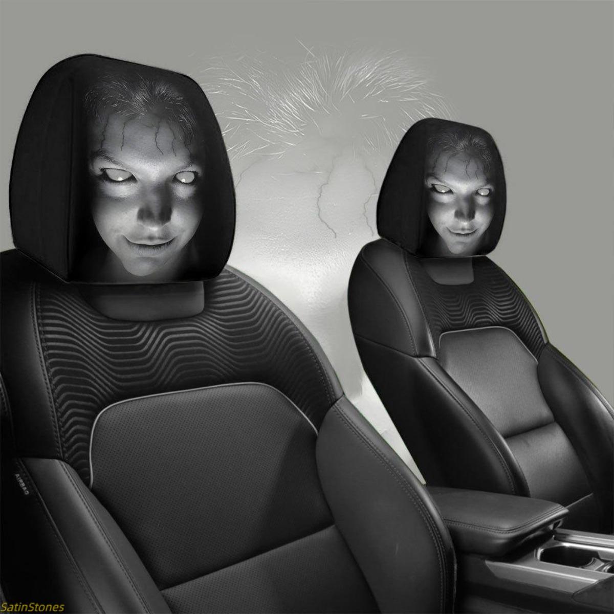 2Pcs Universal Car Headrest Covers - Removable, Resilient Fabric, Washable, Tool-Free Install Auto Seat Accessories for Car, SUV/Truck/Sedan, Portrait Print