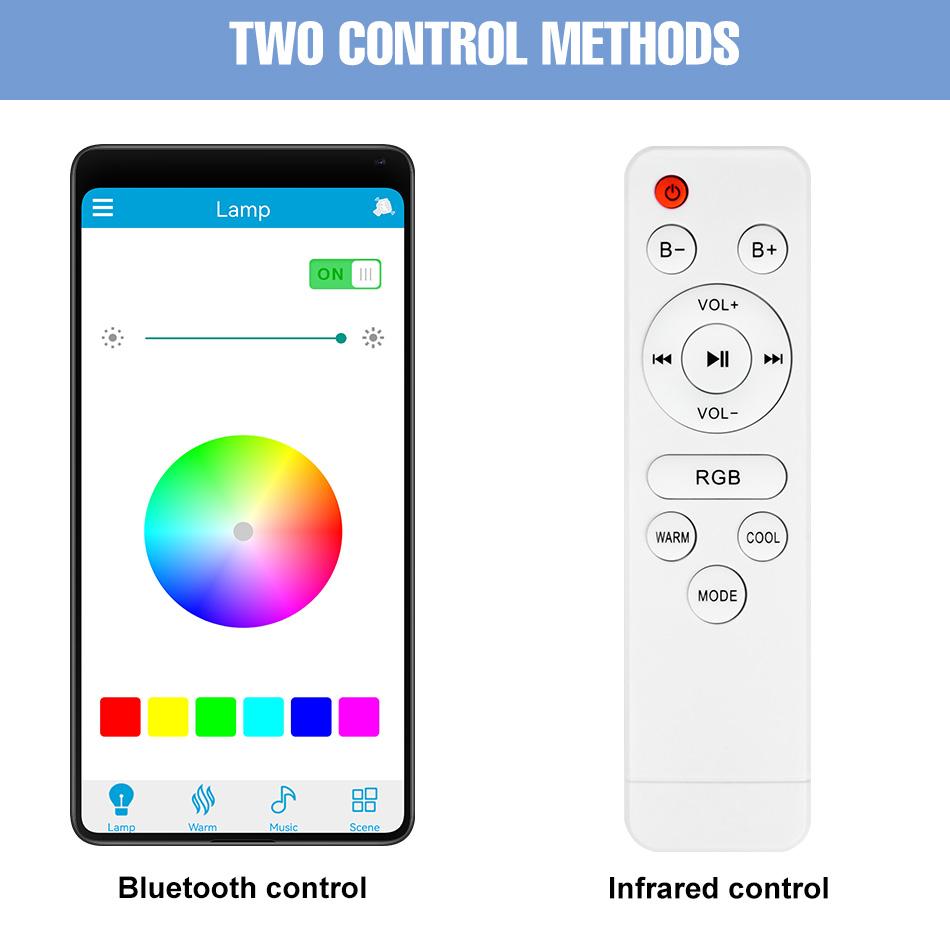 RGB LED Bluetooth Ceiling Light DSP Music Melody Player BT APP Control 256Colors Dimmable 100-240V Smart Timer Switch Memory Function Bedroom Living Room Colorful Atmospheric Night Lamp Festival Party Mlticolor Mood Rhythm Decoration Lighting with Remote