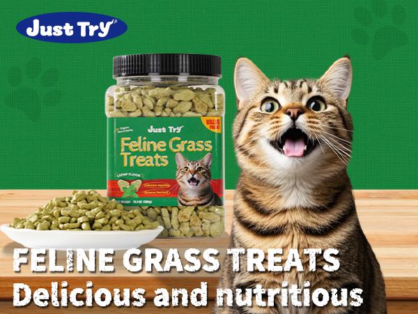 JUST TRY 4PCS 13.4 OZ Cat Grass Treats Natural Salmon Flavor Healthy Cat Snacks Training Biscuits Catnip for Cats Dental and Hairball Control Treats Remedy Chews