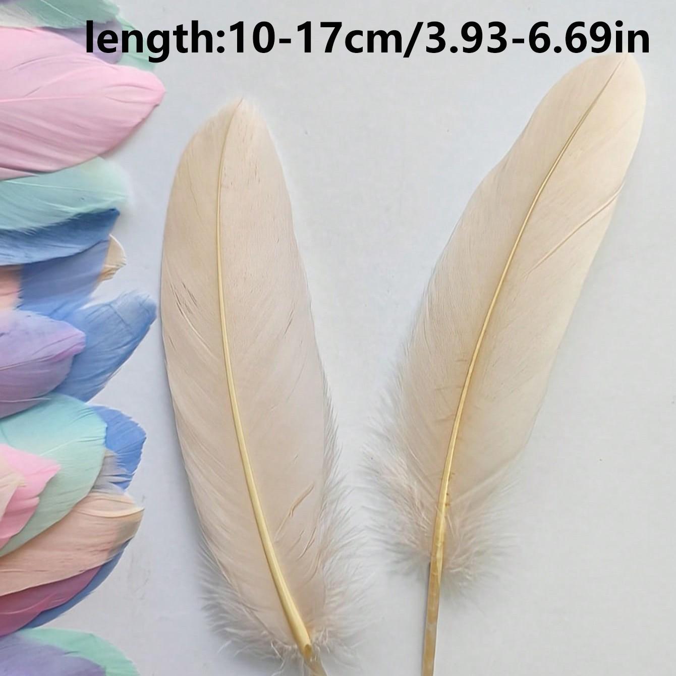 5/10/15pcs Multicolor Artificial Feathers, Premium Colorful Feathers for Dreamcatchers, Clothing Accessories, DIY Crafts, Wedding Decorations