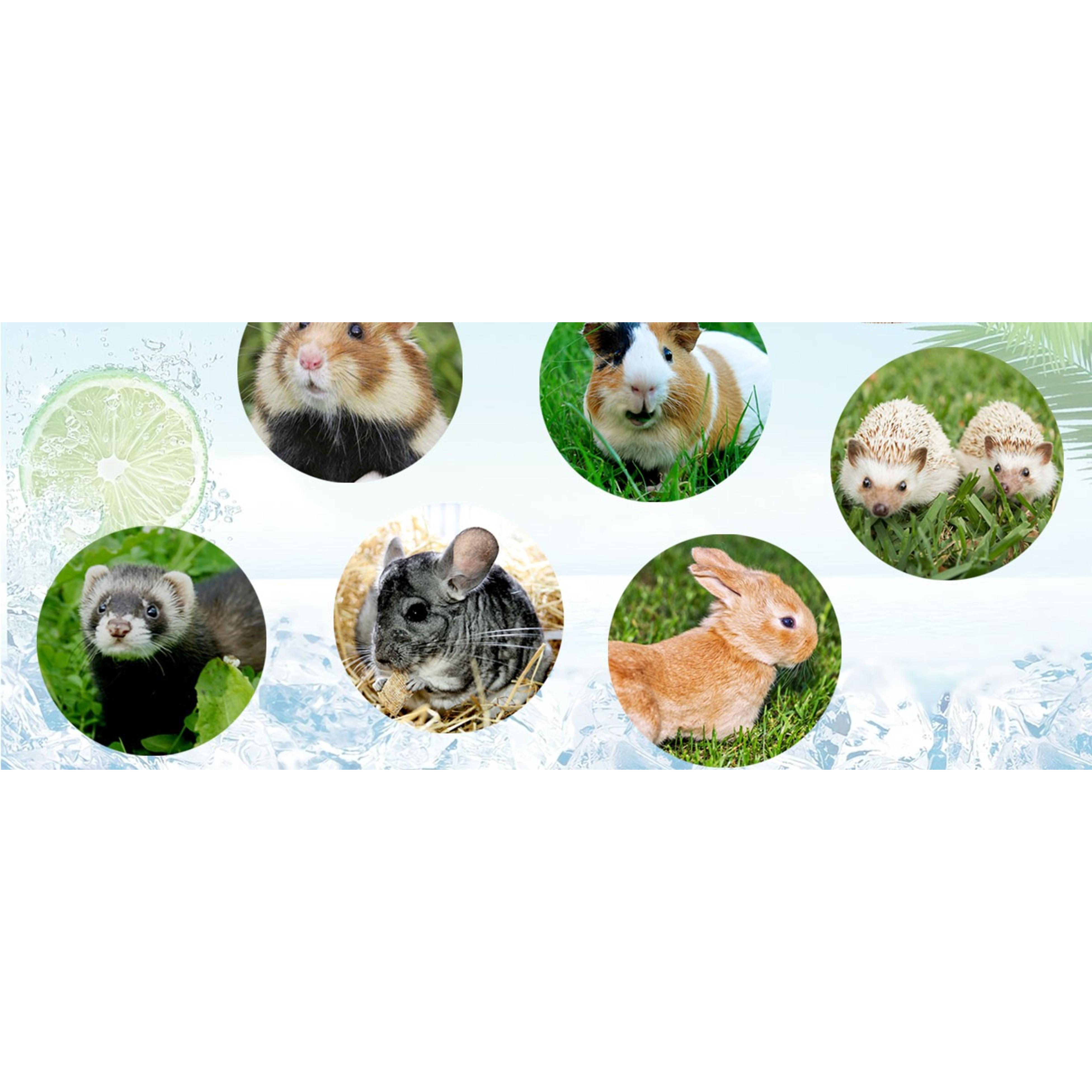 2Pcs Small Animal Cooling Mat, Breathable Guinea Pig Rabbit Cool Pad, Self-Cooling Bed Blanket for Bunny Hedgehog Hamster, Summer Hot Day, 15.8x11.8in(Gift) 2Pcs Small Animal Cooling Mat, Breathable Guinea Pig Rabbit Cool Pad, Self-Cooling Bed Blanket for Bunny Hedgehog Hamster, Summer Hot Day, 15.8x11.8in(Gift)