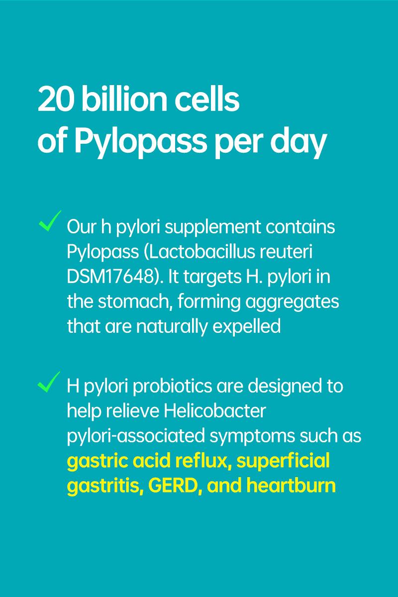 Purmeo 5-in-1 Targeted Balance Stomach & H.Pylori Dietary Probiotics Supplement - Vegan, 20B Cells, Daily Gut Health, Gastric Support, Digestive Comfort, Stomach Lining, Pylopass Lactobacillus reuteri DSM 17648, Healthcare