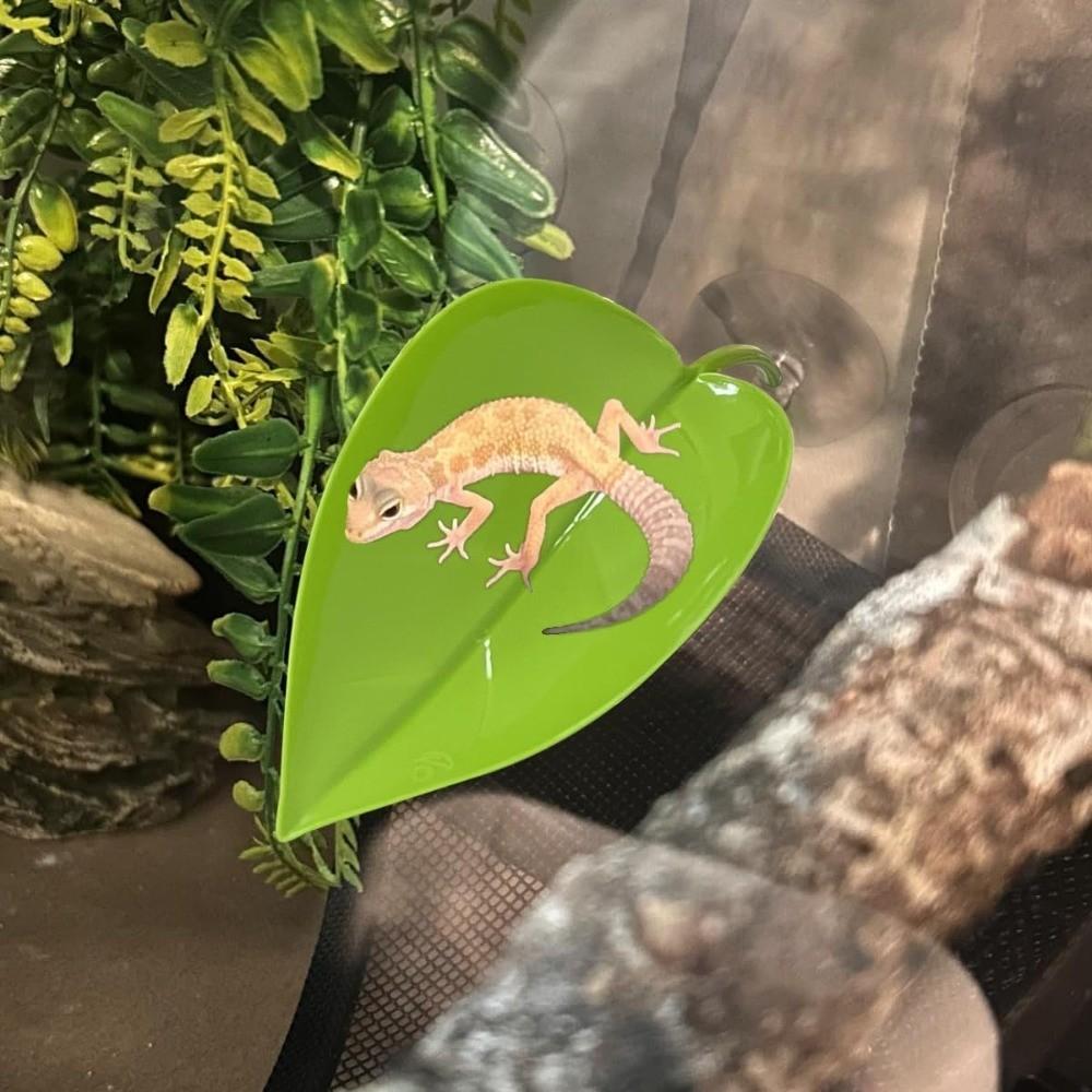 2pcs Tree Frog Tank Leaf Decorations, Leaf Shape Basking Platform with Suction Cups, Leopard Gecko Tank Accessories, African Dwarf Frog