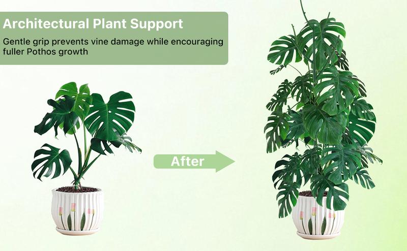 6 Pack of Stackable Monstera Plant Support - Garden Stakes for Indoor and Outdoor Plants, Great for Climbing, Potted Pothos and Philodendron