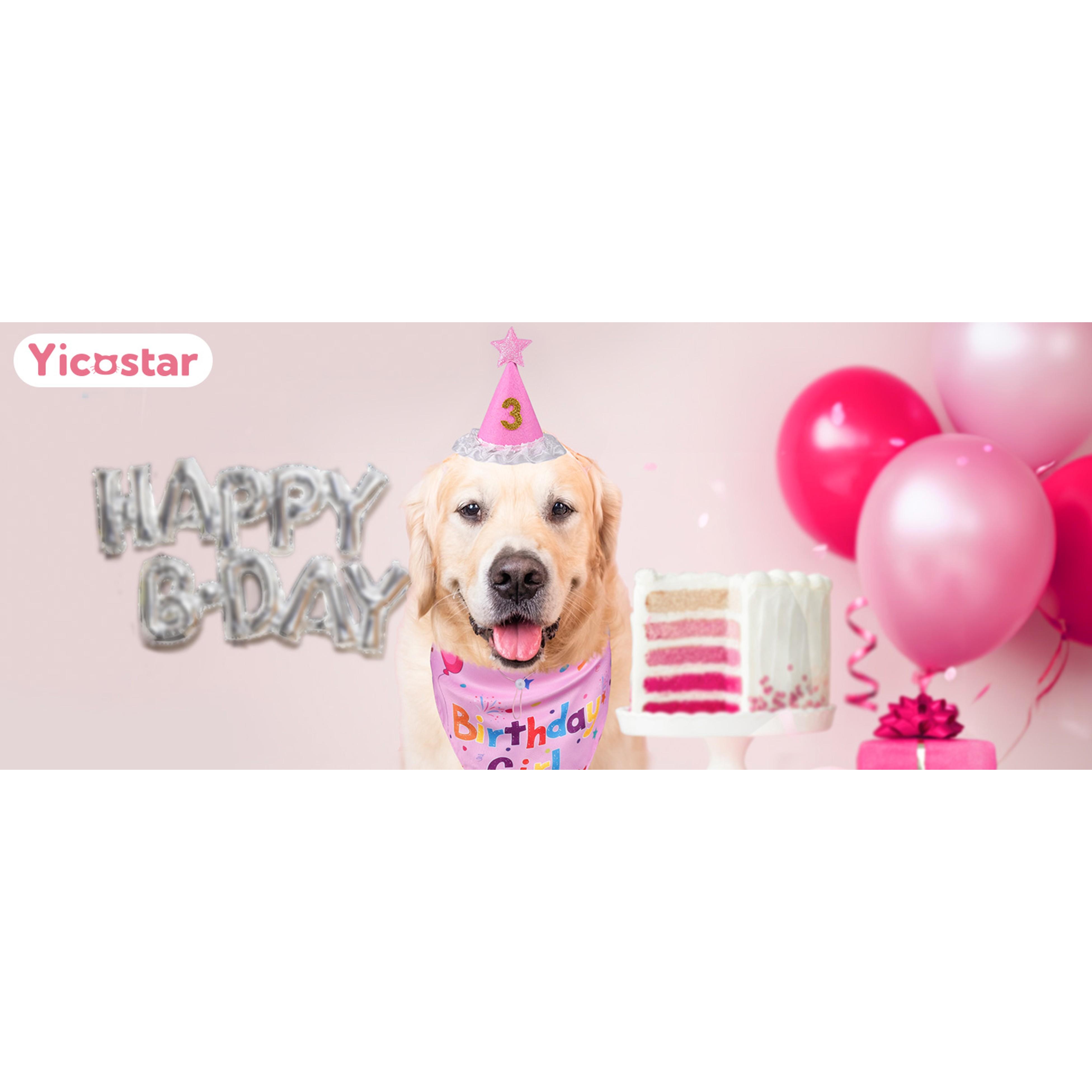Fun Cotton Double-Sided Dog Birthday Party Supplies Set - Bandanas, Numbered Hat, Flag, Balloon, Photo-Ready Pet Outfit, Canine Dressing Up Gifts (27.5x18.1x18.1 inch Set, 3inch(Diameter)x4.4inch(Height) Components, Multi-Size for Small/Medium/Large Pets)