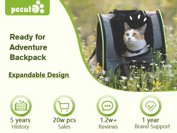 Pecute Expandable Cat Backpack with Breathable Mesh for Cats Small Dogs Puppies available in black and grey.