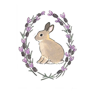 Little rabbit yarn