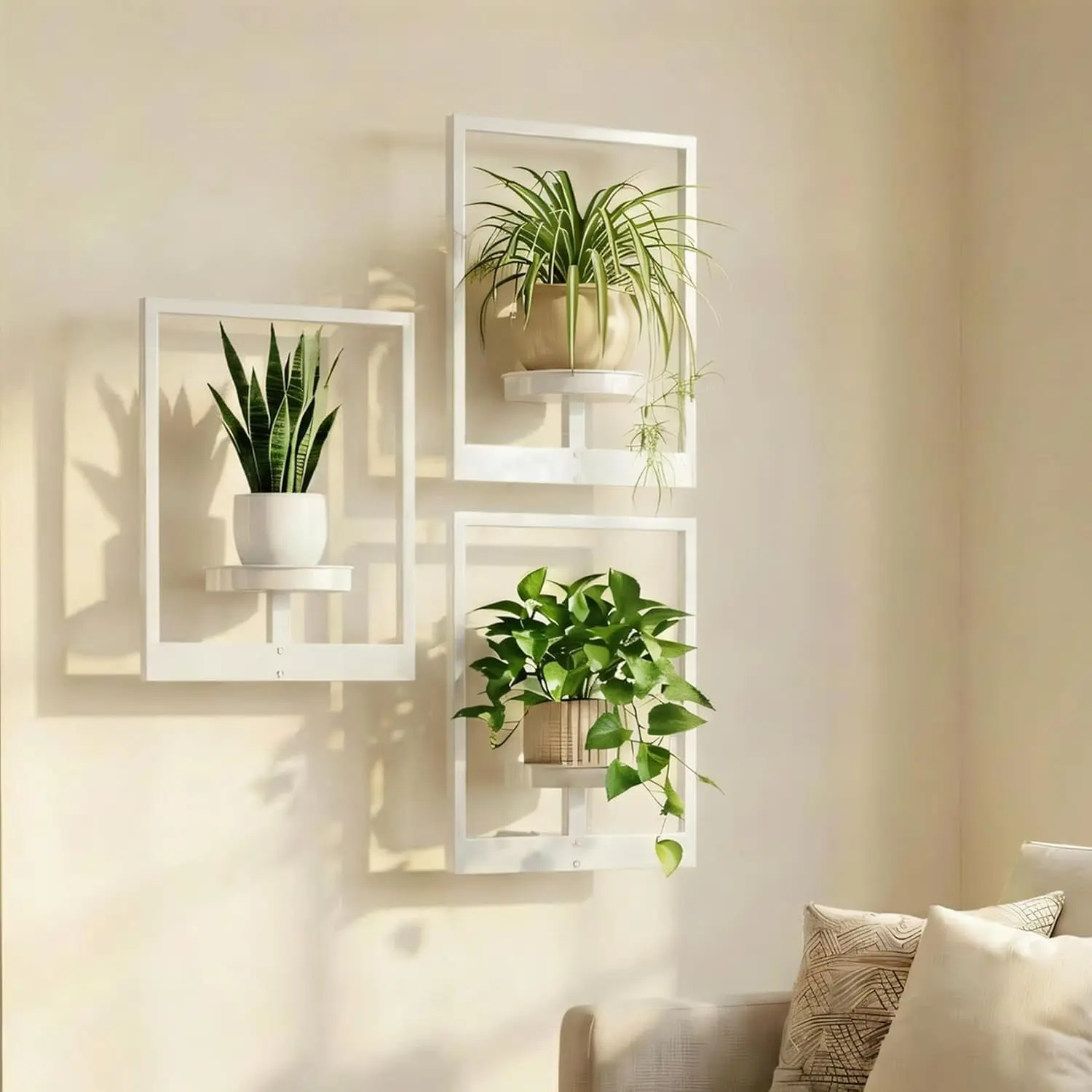White 3-Pack