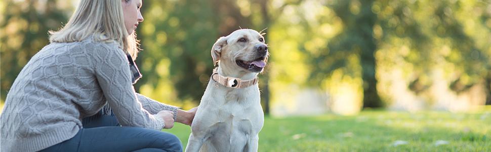 DOGWONG Airtag Dog Collar, Heavy-Duty Cotton Hemp Collar with Airtag Holder – Soft, Durable & Adjustable Pet Necklace for Small, Medium, Large Dogs