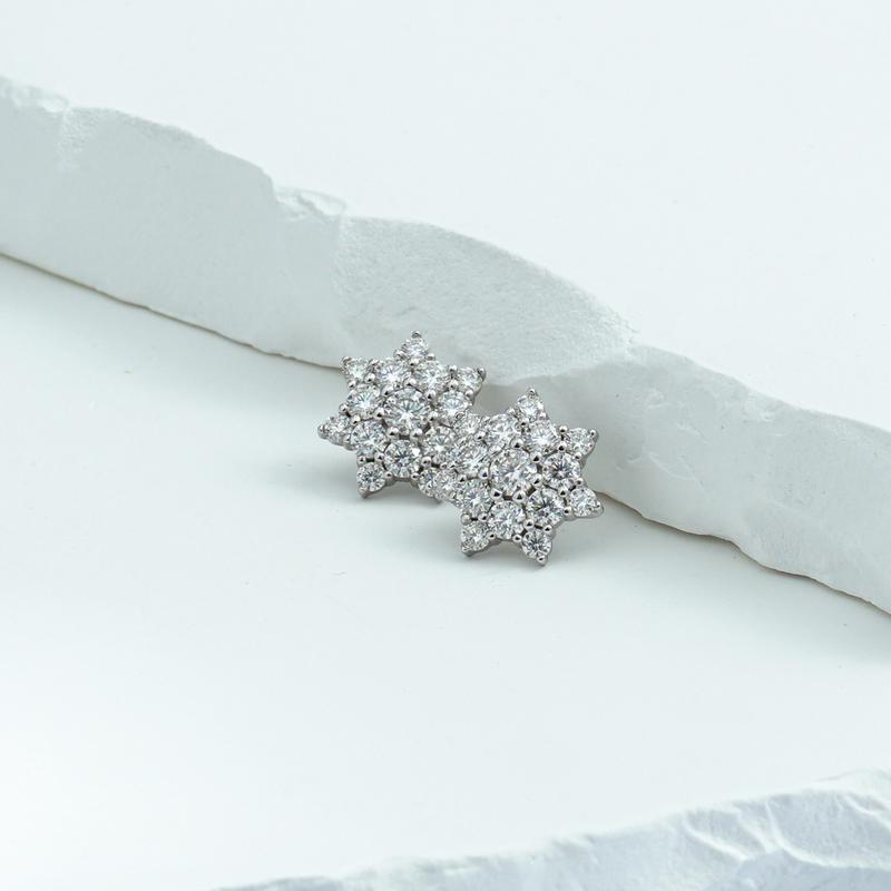 Delzzad Dazzling Star Cluster Earrings Round Synthetic Moissanite S925 Studs Unisex Earrings Birthday Anniversary Gift Mother's Day Christmas Gifts for Men Women