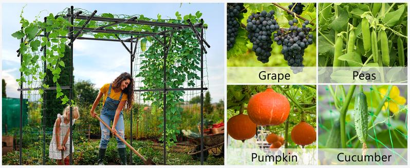 Lilypelle Tall Garden Arch Trellis, 79'' L x 79'' W x 79'' H Large Grape Vine Support Plastic-Coated Metal Garden Trellis for Climbing Plants Vineyard