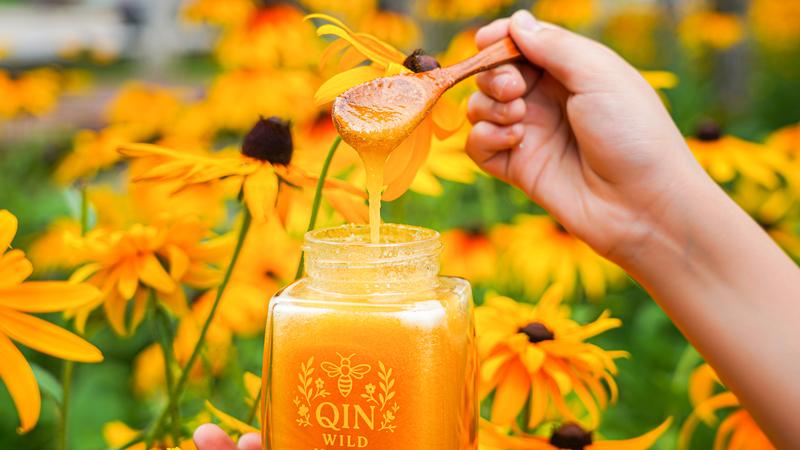 Qinling Forest Wild Raw Honey 100% Organic 500g 17.6 oz per Jar Manuka Tallow Maple Syrup Vegan Maple Syrup