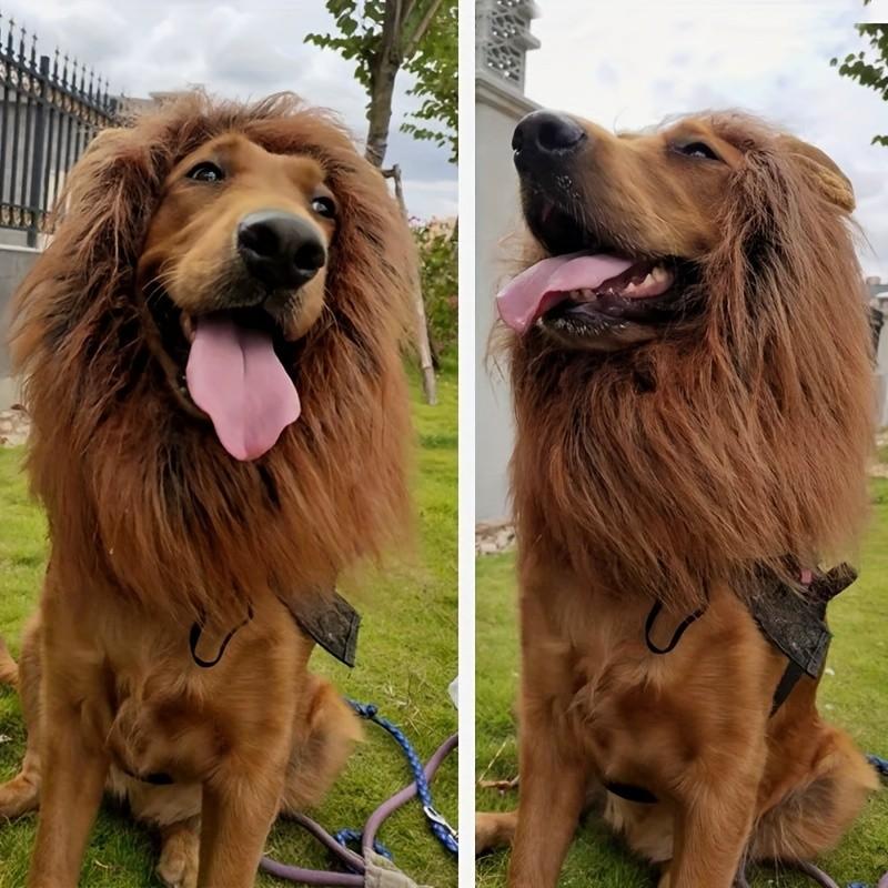 Lion Mane Dog Costume, Lion Mane Wig for Medium to Large Dogs, Halloween for Big Dogs, Fun Pet Dress-Up Gear