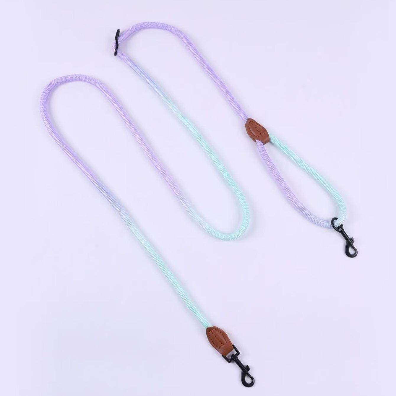 Adjustable Gradient Nylon Pet Leash, Multi-Functional Dog Training Rope, Ideal for Playing, Running, Camping, Backyard Exercise